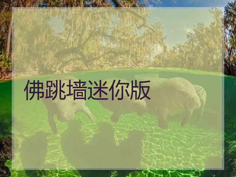 佛跳墙迷你版
