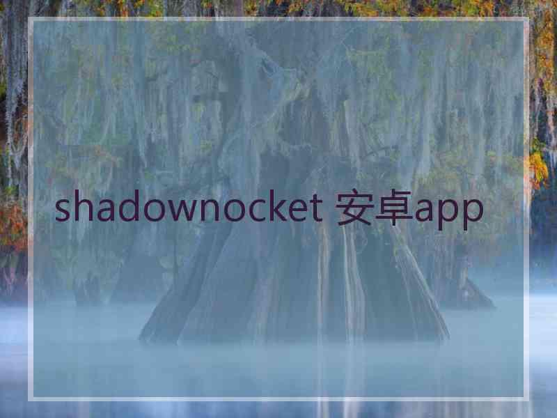 shadownocket 安卓app