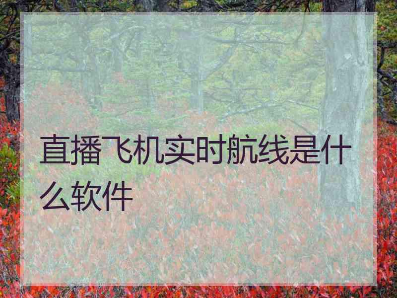 直播飞机实时航线是什么软件