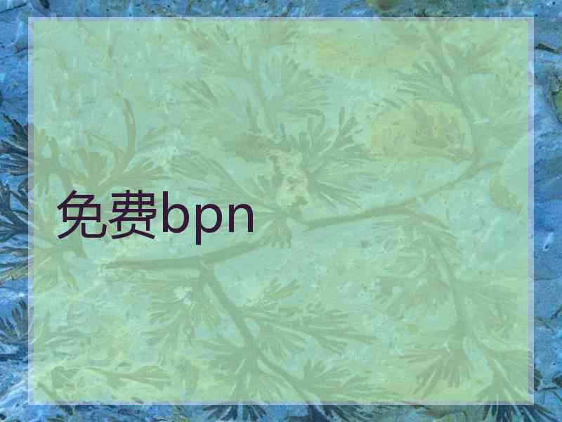 免费bpn