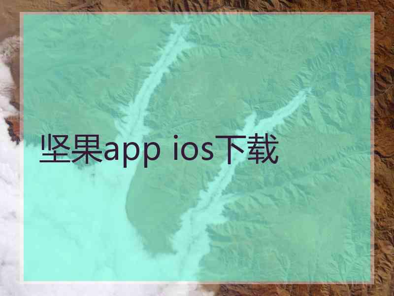 坚果app ios下载