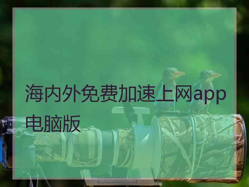 海内外免费加速上网app电脑版