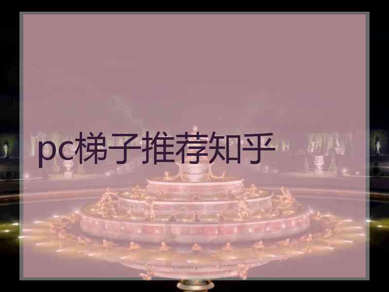 pc梯子推荐知乎