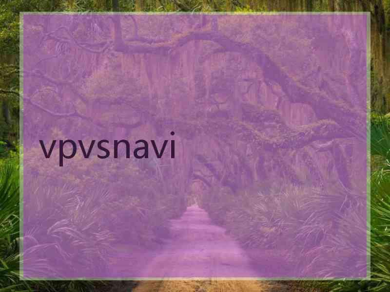 vpvsnavi