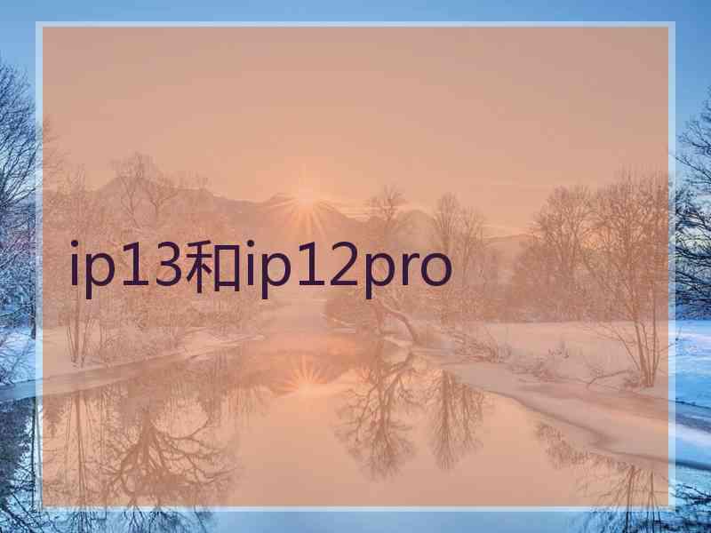 ip13和ip12pro