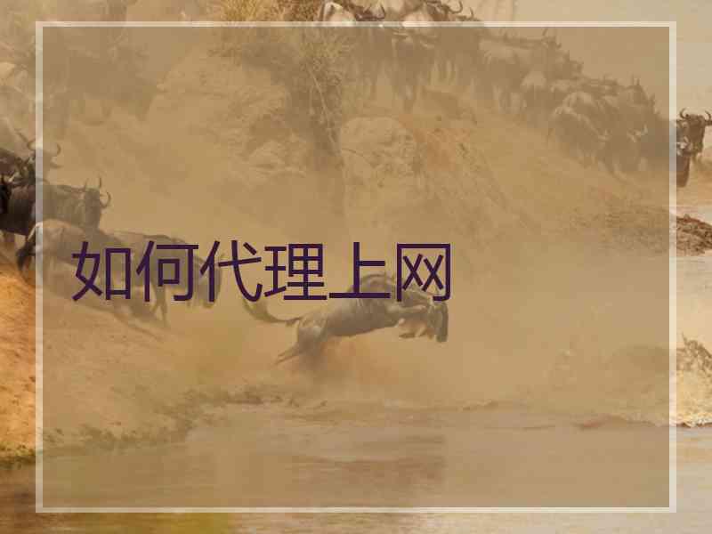 如何代理上网