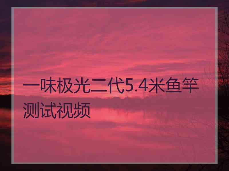 一味极光二代5.4米鱼竿测试视频