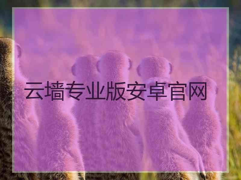 云墙专业版安卓官网