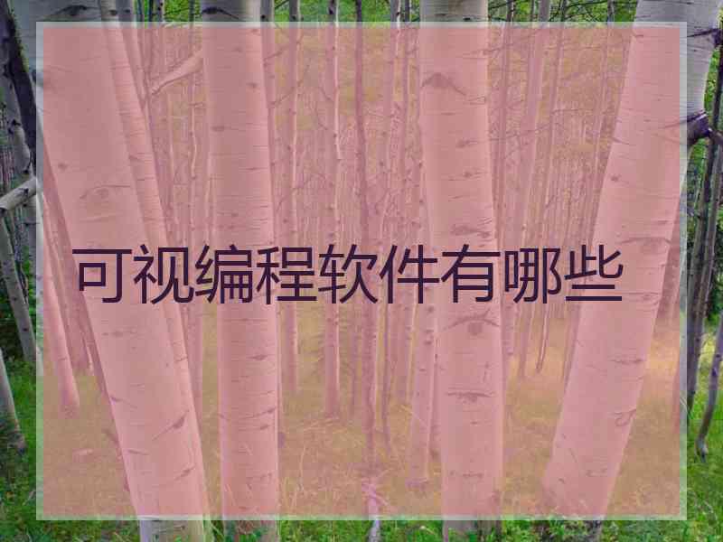 可视编程软件有哪些