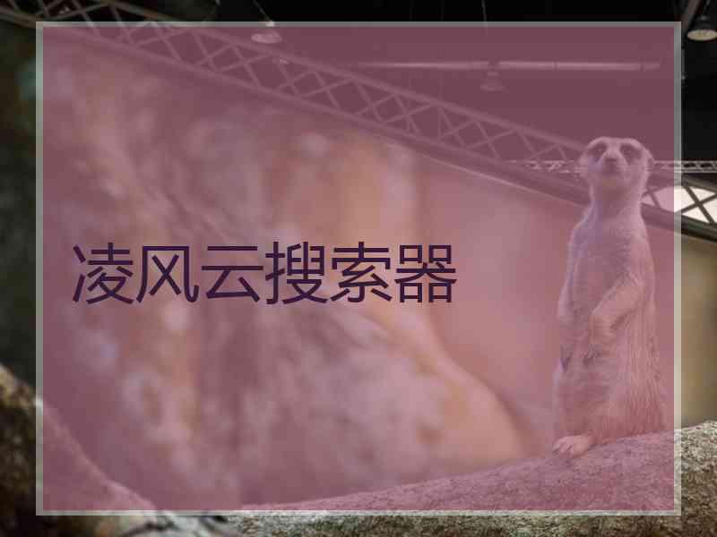 凌风云搜索器