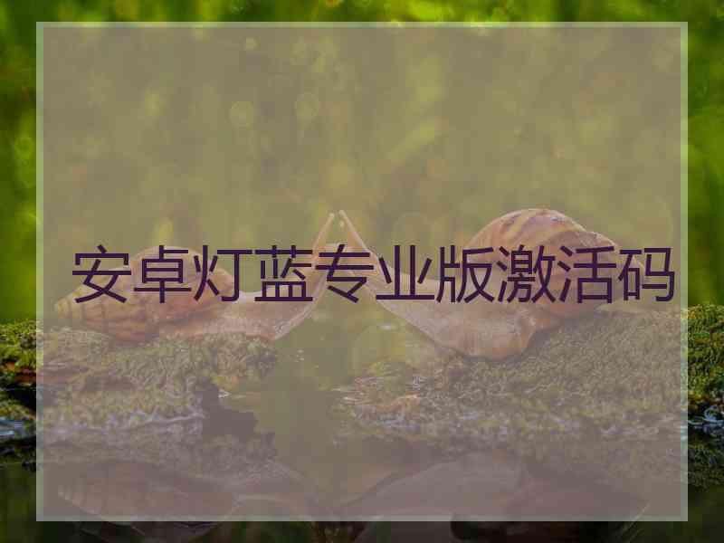 安卓灯蓝专业版激活码