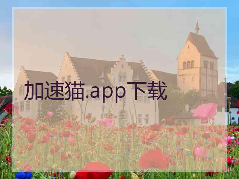 加速猫.app下载