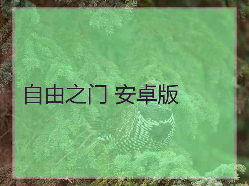 自由之门 安卓版