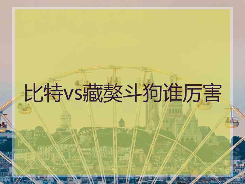 比特vs藏獒斗狗谁厉害