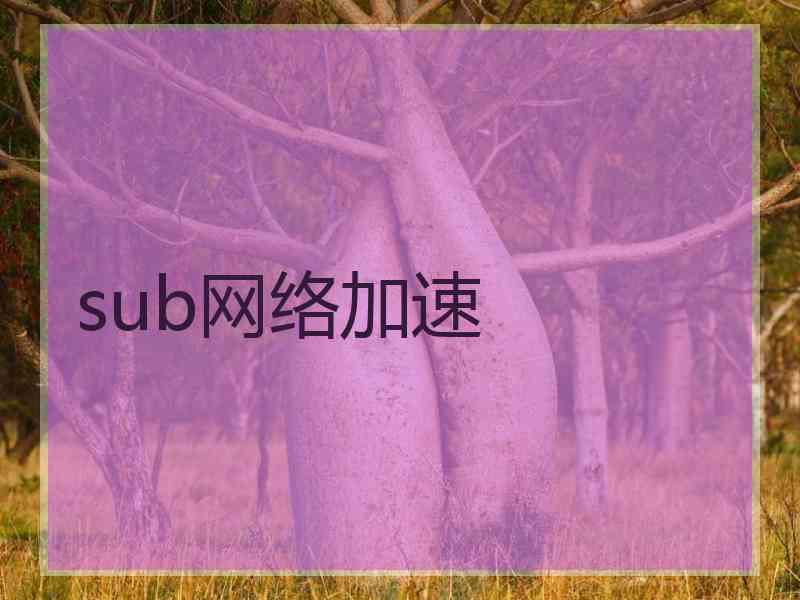 sub网络加速