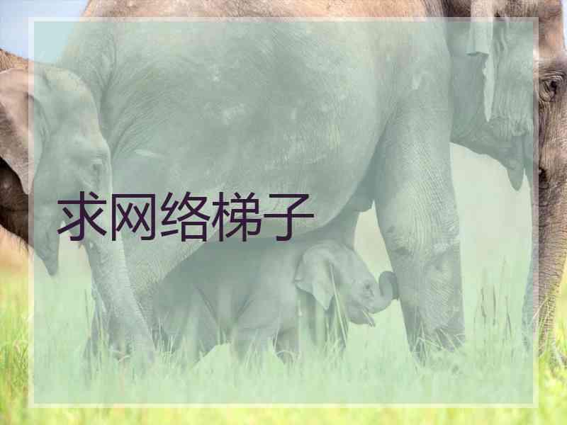 求网络梯子