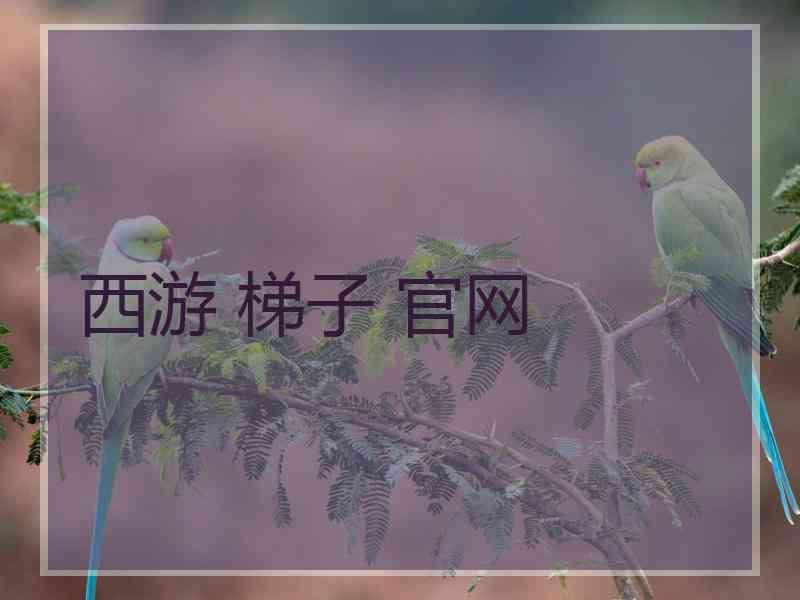 西游 梯子 官网