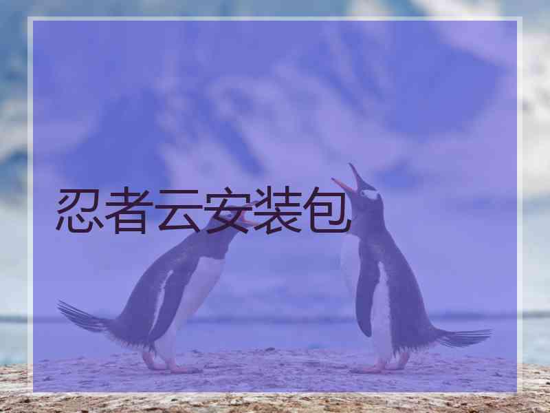 忍者云安装包