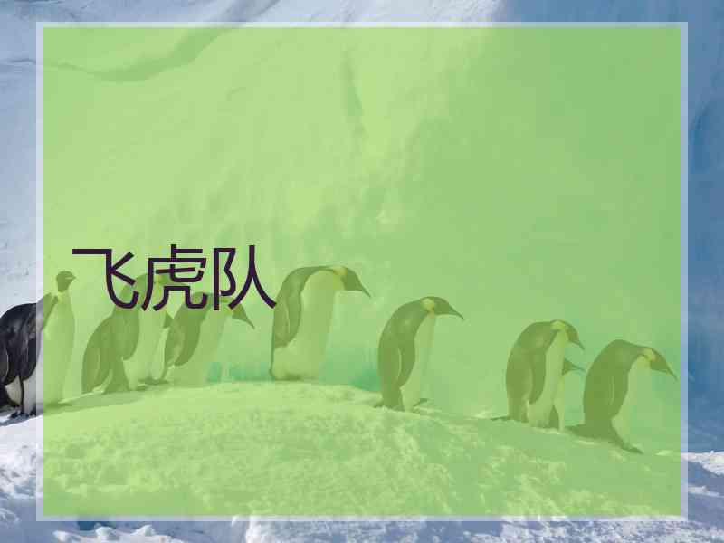 飞虎队