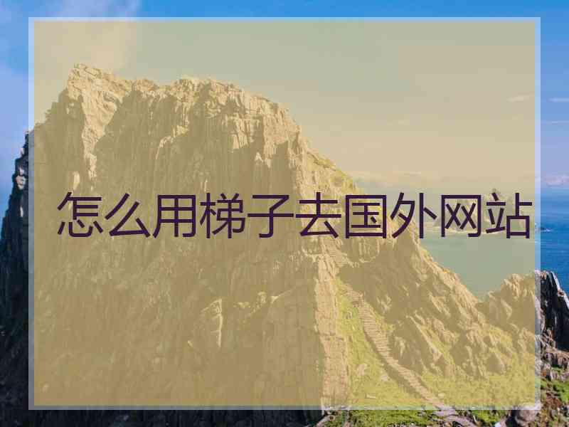 怎么用梯子去国外网站