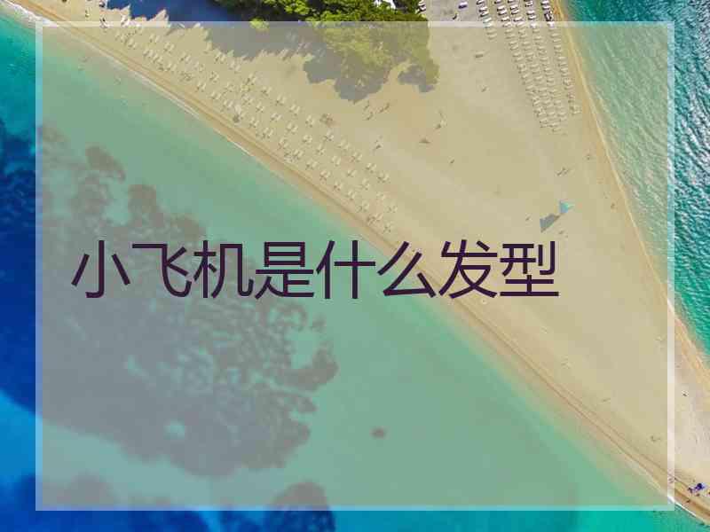 小飞机是什么发型