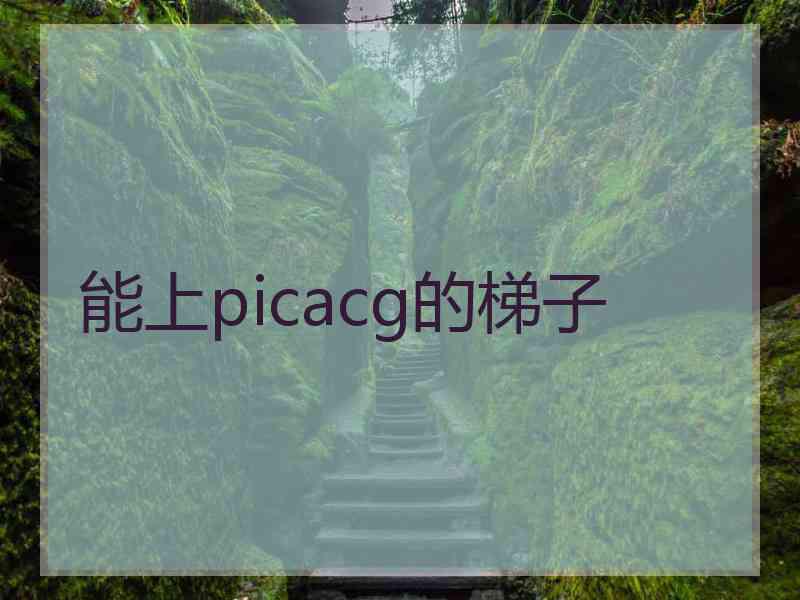 能上picacg的梯子
