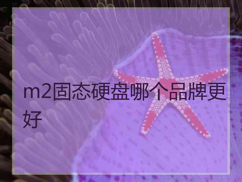 m2固态硬盘哪个品牌更好