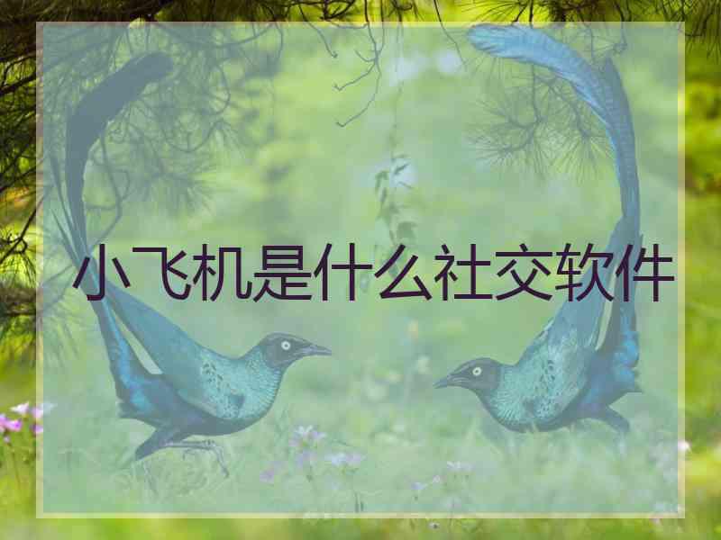 小飞机是什么社交软件