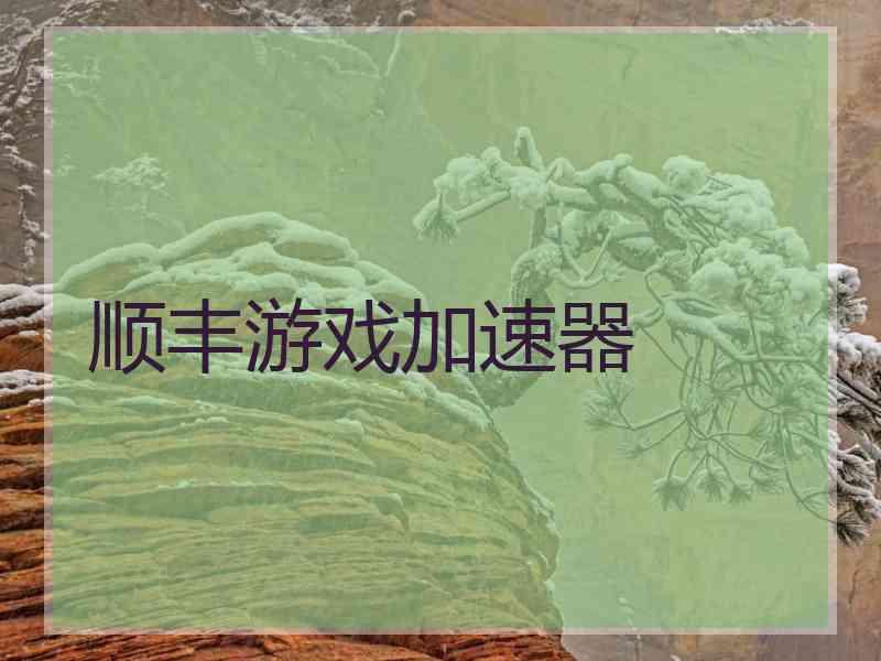 顺丰游戏加速器