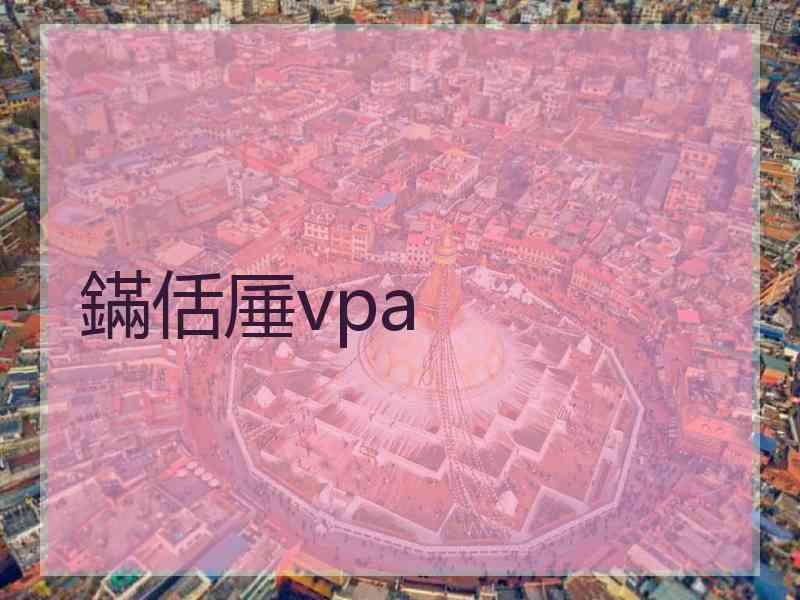 鏋佸厜vpa
