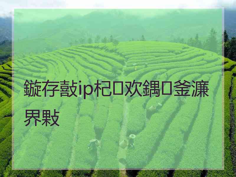 鏇存敼ip杞欢鍝釜濂界敤