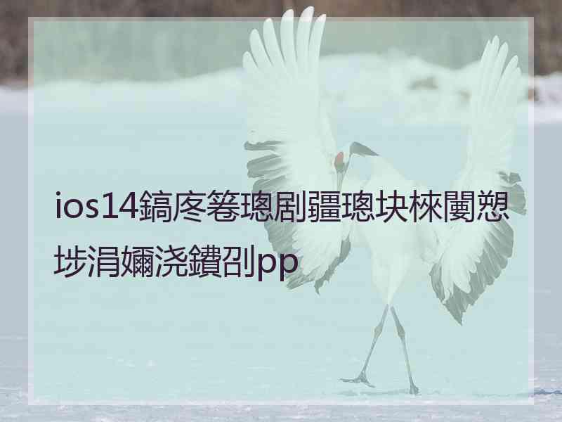 ios14鎬庝箞璁剧疆璁块棶闄愬埗涓嬭浇鐨刟pp