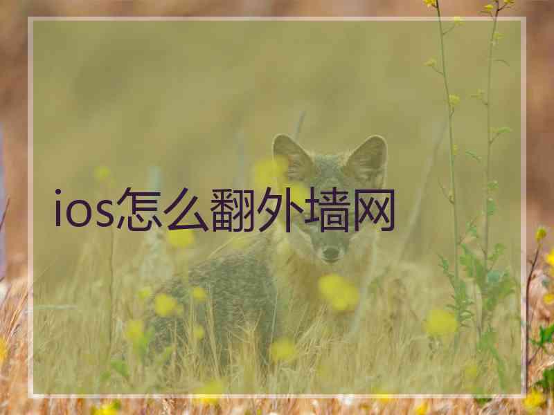 ios怎么翻外墙网