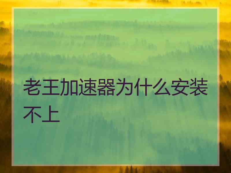 老王加速器为什么安装不上