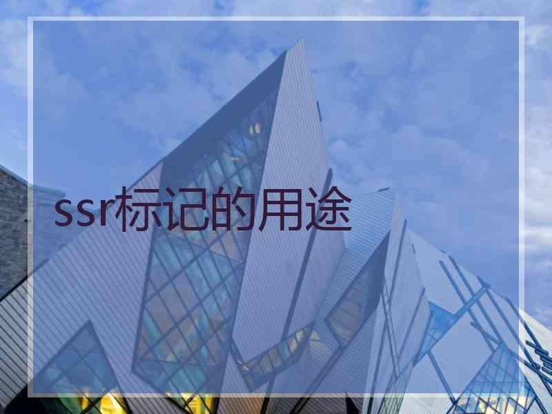 ssr标记的用途