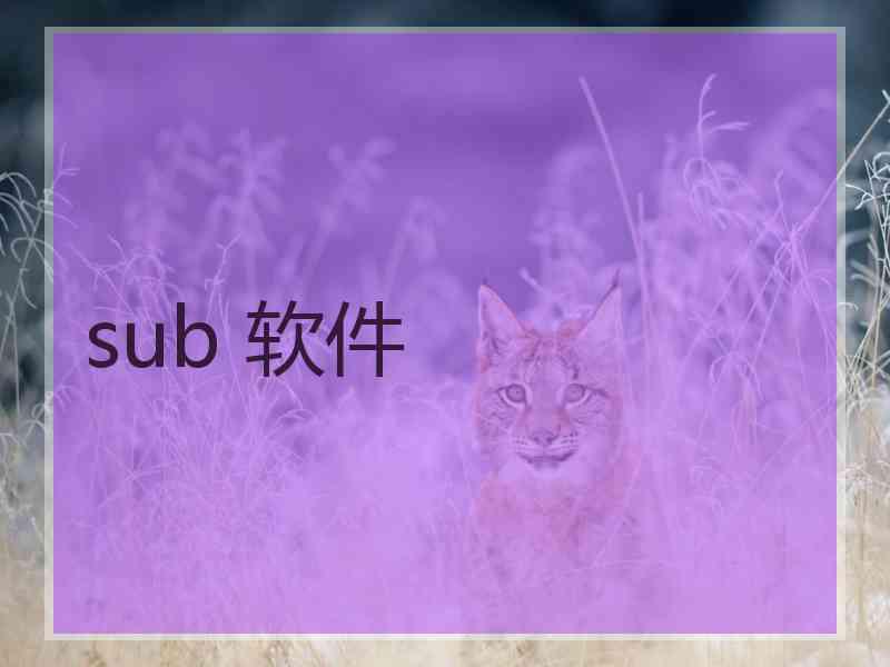 sub 软件