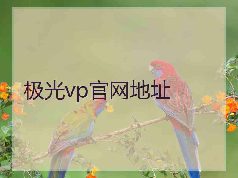 极光vp官网地址