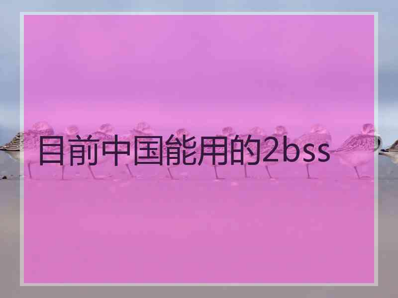 目前中国能用的2bss