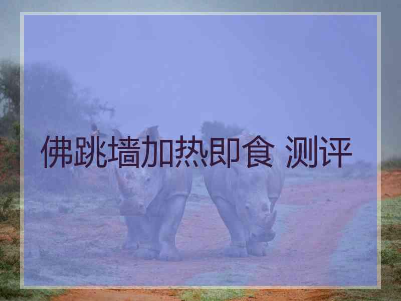 佛跳墙加热即食 测评