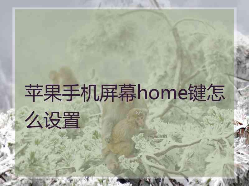 苹果手机屏幕home键怎么设置