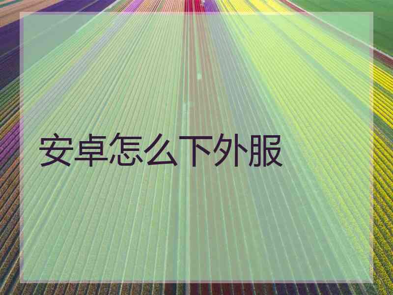 安卓怎么下外服