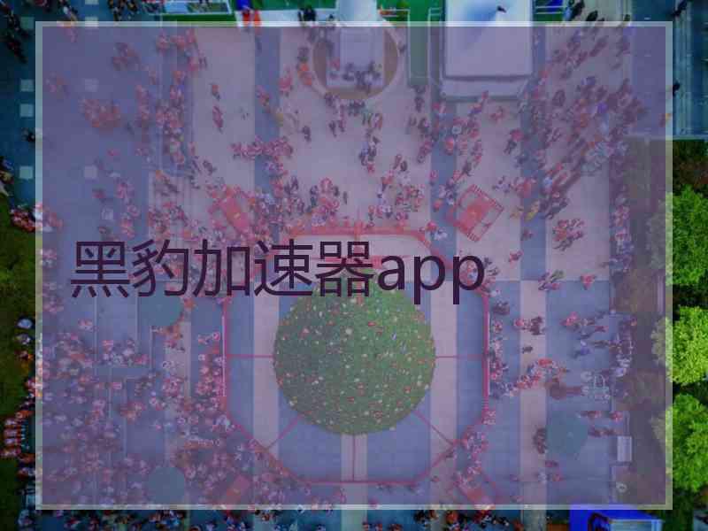 黑豹加速器app