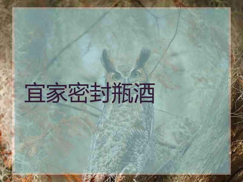 宜家密封瓶酒