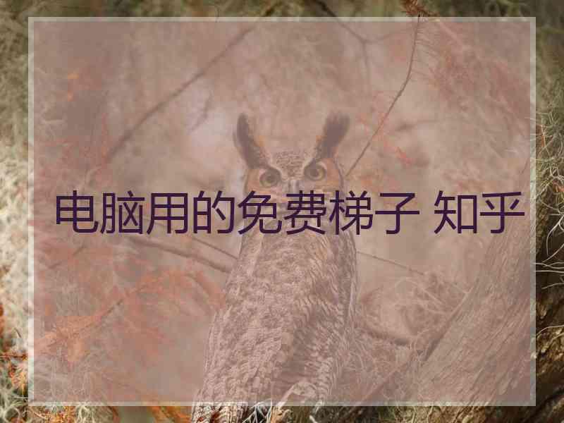 电脑用的免费梯子 知乎