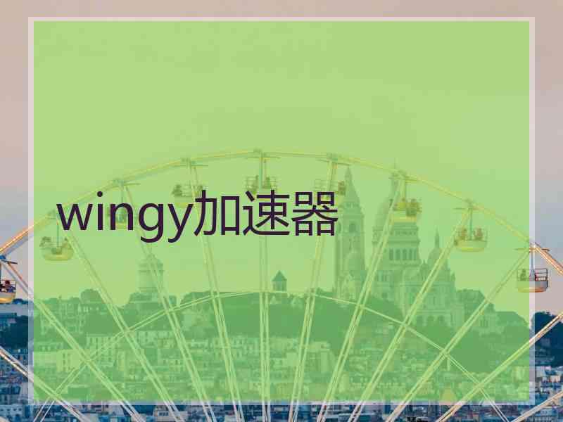 wingy加速器