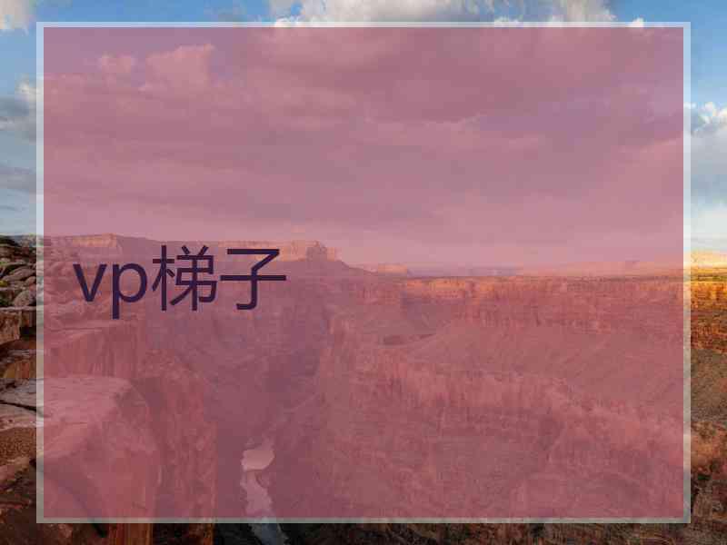 vp梯子