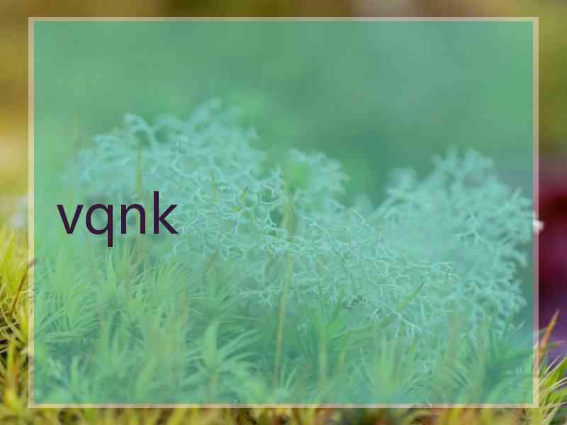 vqnk