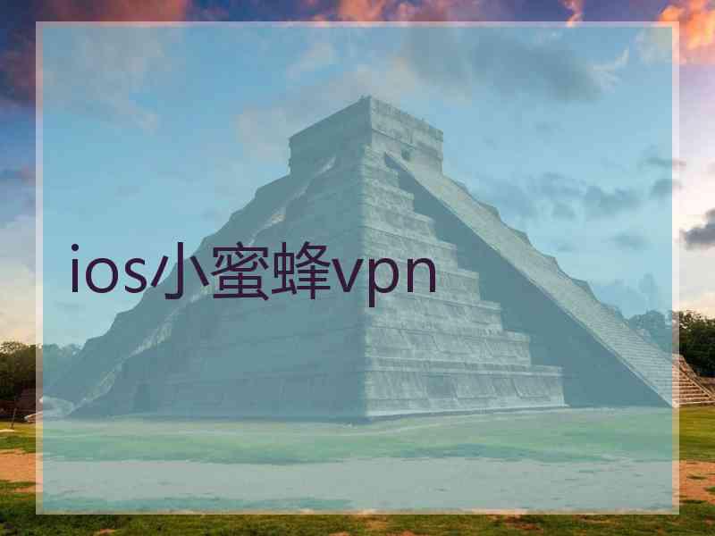 ios小蜜蜂vpn
