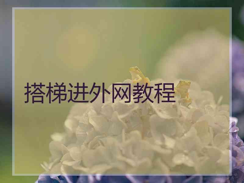 搭梯进外网教程