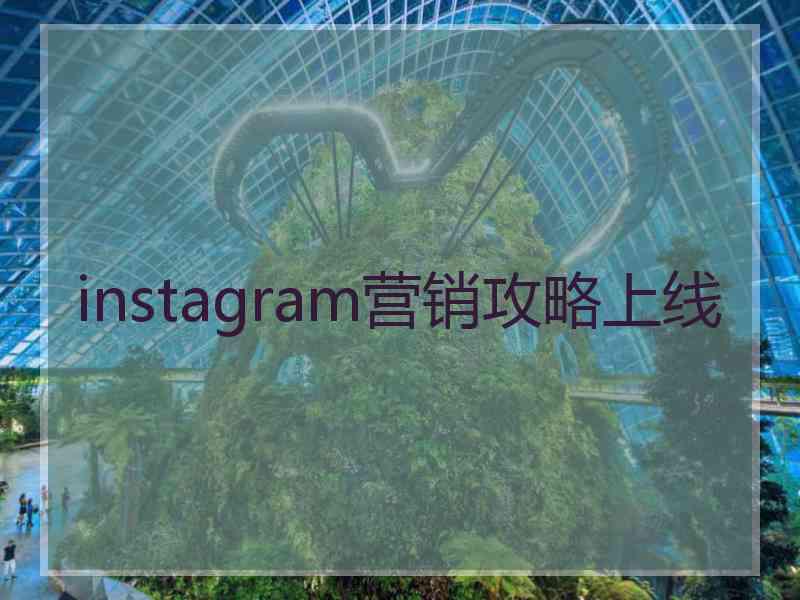 instagram营销攻略上线
